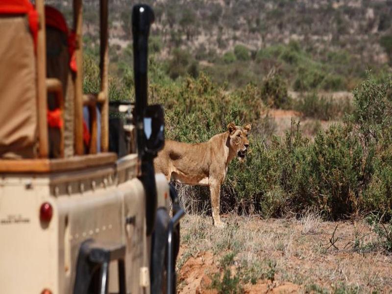 Saruni Samburu Villa Ngoại thất bức ảnh
