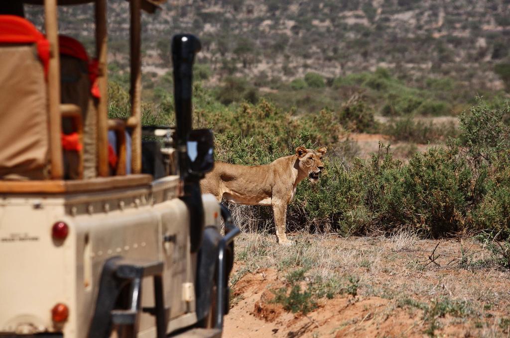 Saruni Samburu Villa Ngoại thất bức ảnh